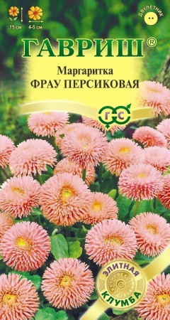 Маргаритка Фрау Персиковая 4шт