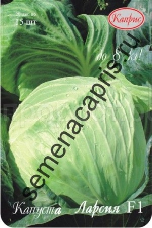 Капуста белокочанная Ларсия F1 20*15шт 