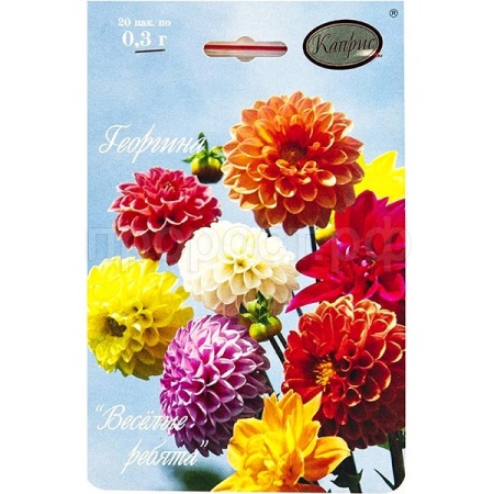 Георгина Веселые ребята 20*0,3 