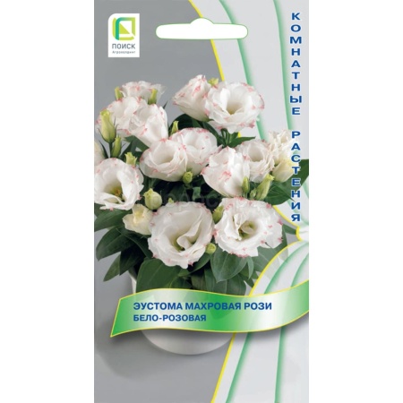 Эустома махровая Рози Бело-розовая 5шт