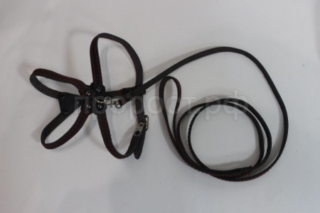 Комплект для собак и кошек (поводок кожа 1,3м + шлейка кожа 7мм)/140312