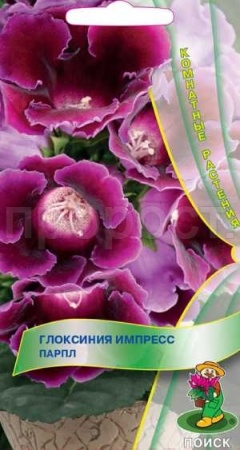 Глоксиния Импресс Парпл 5шт
