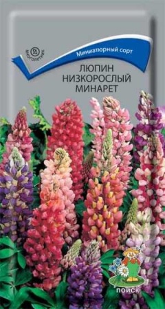 Люпин низкорослый Минарет 1г