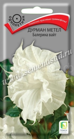 Дурман метел Балерина вайт 3шт 