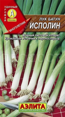 Лук батун Исполин 