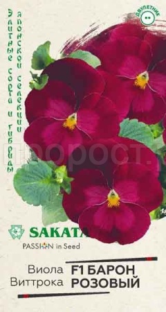 Виола Виттрока Барон Розовый F1 5шт