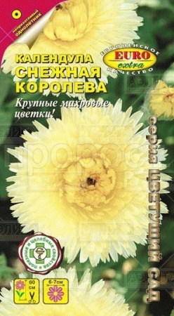 Календула Снежная королева