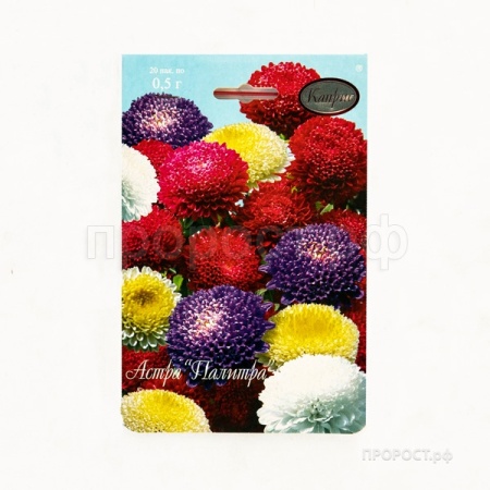 Астра смесь Помпонная Палитра 20*1,5 