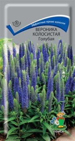 Вероника колосистая Голубая 0,1гр