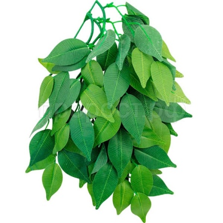 Растение Фикус 002TP 300мм Repti-Zoo/84045013/Триол