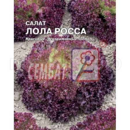 Салат Лолла Росса 5г XXXL