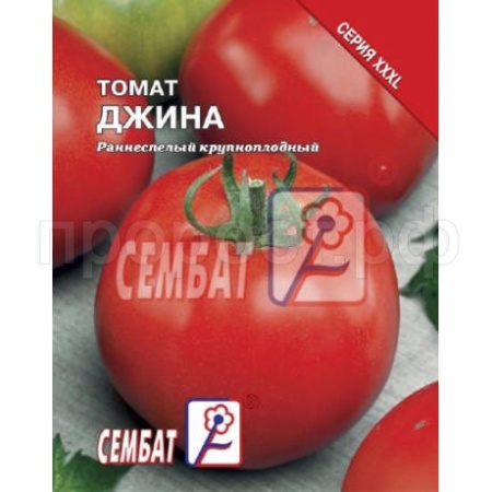 Сембат Томат Джина ТСТ 1г XXXL