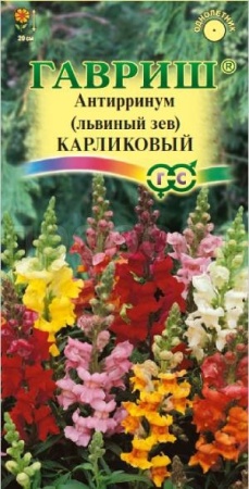 Антирринум (Львиный зев) карликовый смесь 0,1г