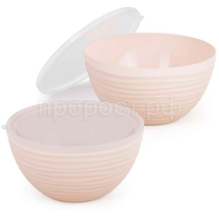 Набор Чаш Оазис (2шт) с крышкой бежевый (2,5л 4л) М8408 /12шт/ Альтерн