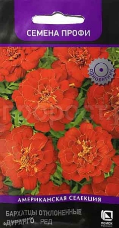 Бархатцы Алюмиа Ред Ванилла отклоненные 15шт