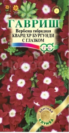 Вербена Кварц ХР Бургунди с глазком 4шт