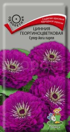 Цинния георгиноцветковая Супер йога парпл 0,4г