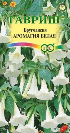 Бругмансия Аромагия белая 3шт 