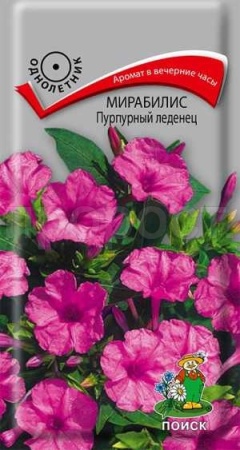 Мирабилис Пурпурный леденец 1г