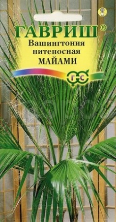 Вашингтония нитеносная Майами 3шт 