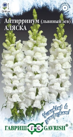 Антирринум (Львиный зев) Аляска 0,05г 
