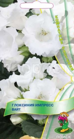 Глоксиния Импресс Вайт 5шт
