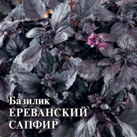 Базилик Ереванский сапфир 50,0 г