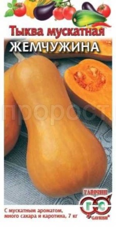 Тыква мускатная Жемчужина 1,0г