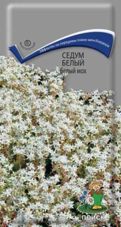 Седум белый Белый мох 0,01г