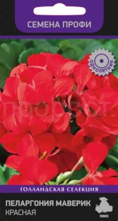 Пеларгония Маверик красная 5шт 