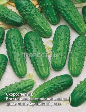 Огурец Конкурент 5г 