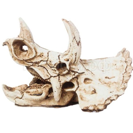 Грот Череп трицератопса Nomoy Pet 16х8х11см M/NMP-NS-114