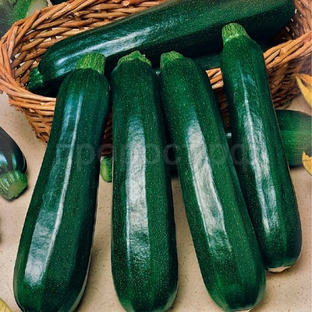 Гавриш Фермерская Кабачок Дракоша 25 гр