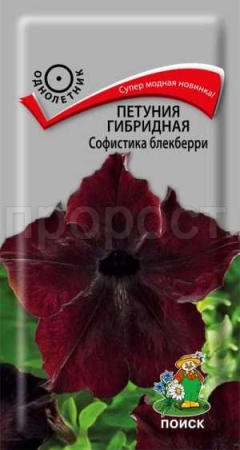 Петуния гибридная Софистика блекберри 5шт