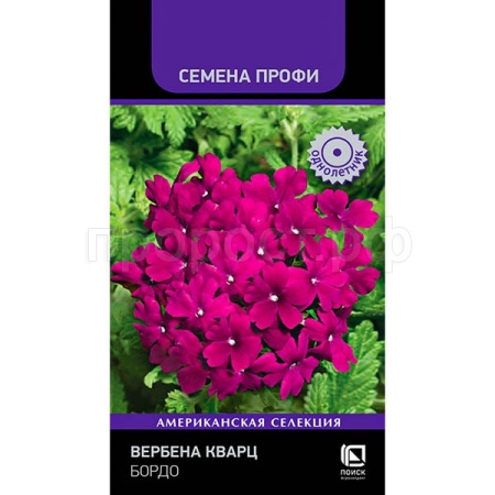 Вербена Кварц Бордо 10шт