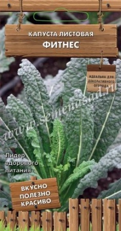 Капуста листовая Фитнес 0,1г