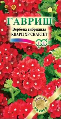 Вербена Кварц ХР Скарлет 4шт